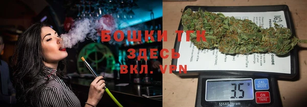 мет Дмитров