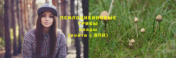 мет Дмитров