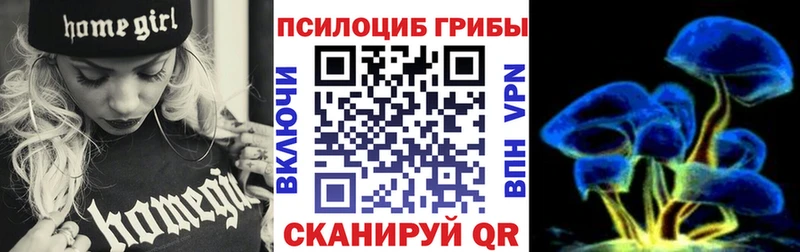 Галлюциногенные грибы Psilocybe  как найти   блэк спрут вход  Мытищи 