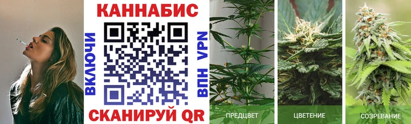 Каннабис сатива  наркотики  Мытищи 